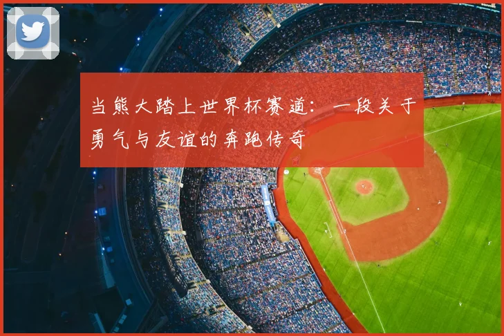 当熊大踏上世界杯赛道：一段关于勇气与友谊的奔跑传奇