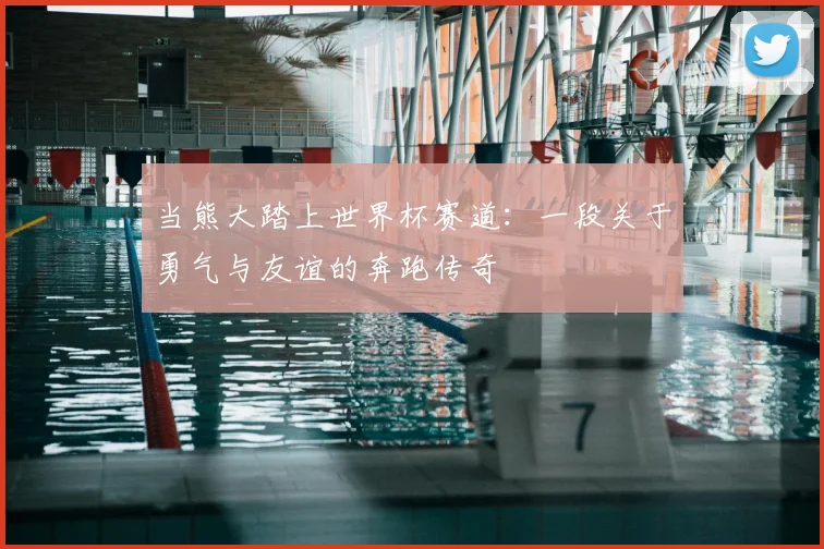 当熊大踏上世界杯赛道：一段关于勇气与友谊的奔跑传奇
