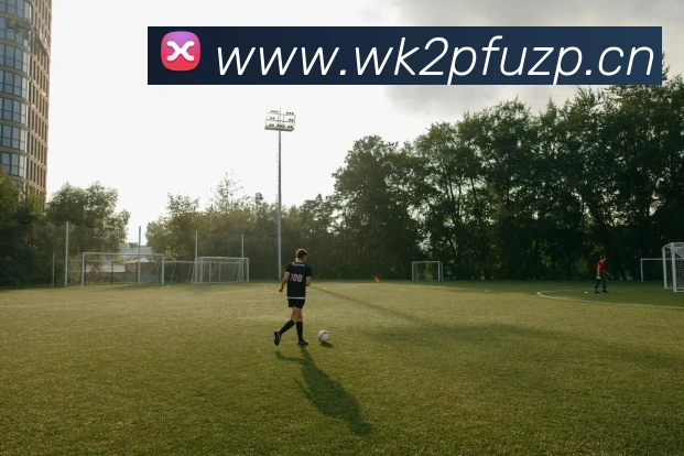 数据防护可视化